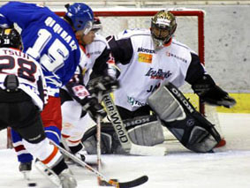 デモンストレータ写真